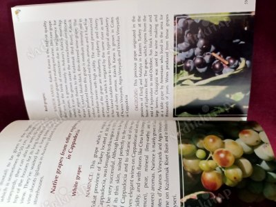 Cappadocian Wines. A guide to wines of faires.