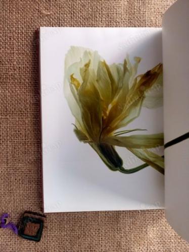 BİT-Kİ - FLORA