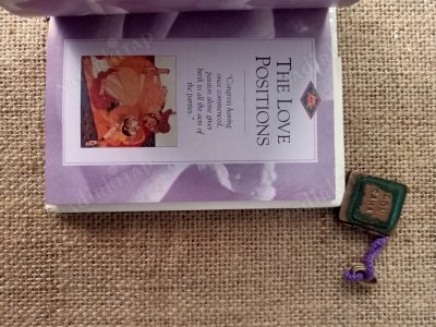 Pocket Kama Sutra A New Guide to The Ancient Arts of Love