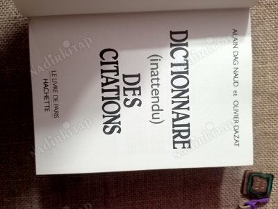 Dıctıonnaire İnattendu/Des Cıta Tıons
