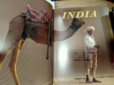 A Passage Through India ( Hindistan'da Bir Geçit ) 