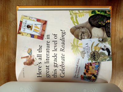 MY FAVORITE FOODLES Celebrate Reading