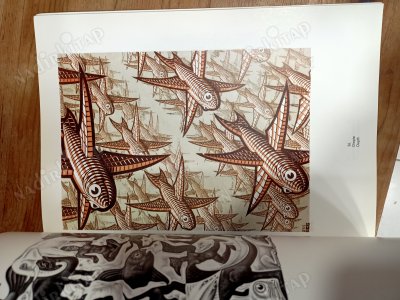 M. C. Escher: The Graphic Work