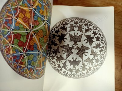 M. C. Escher: The Graphic Work