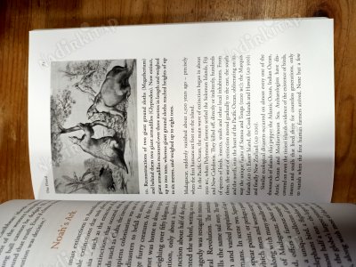 Sapiens: A Brief History of Humankind