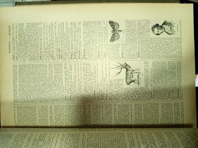 LAROUSSE du XXe SIECLE En Six Volumes tome 6