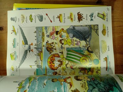 The Usborne First Thousand Words