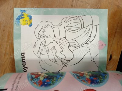 DISNEY PRENSES OYUN KİTABI