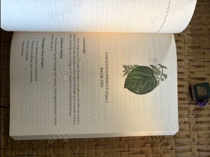 Bir Tedavi Sanatı HOMEOPATİ Homeopatik Ev Eczanesi