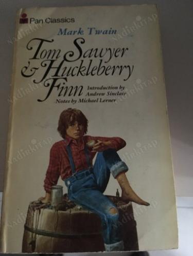 Tom Sawyer Huckleberry Finn