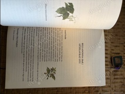 Bir Tedavi Sanatı HOMEOPATİ Homeopatik Ev Eczanesi