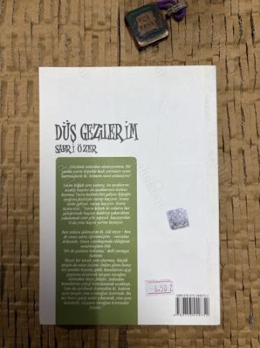 Düş Gezilerim