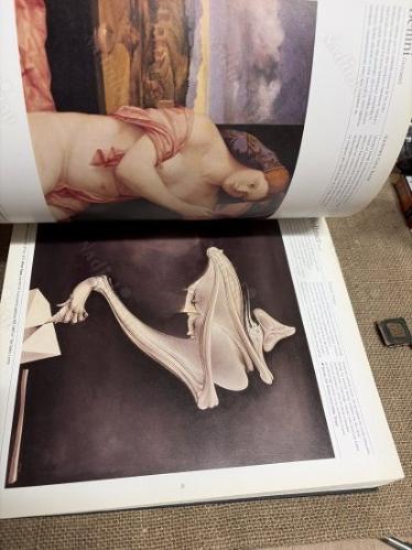 SANAT KİTABI/ 500 SANATÇI-500 SANAT ESERİ