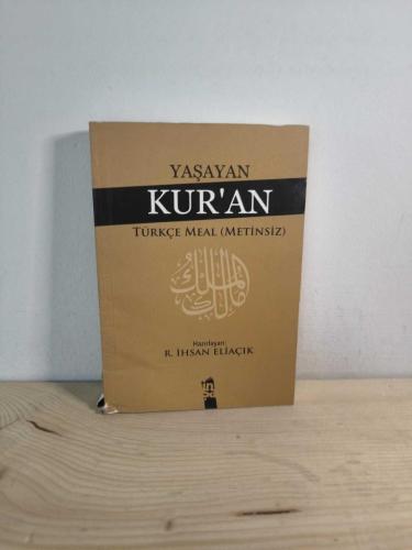 Yaşayan Kur'an Nüzul Sırasına Göre Türkçe Meal (Metinsiz)