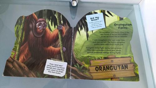 The Clever Factory WILD PRIMATES! .©2012.. Board Book .. (3+)