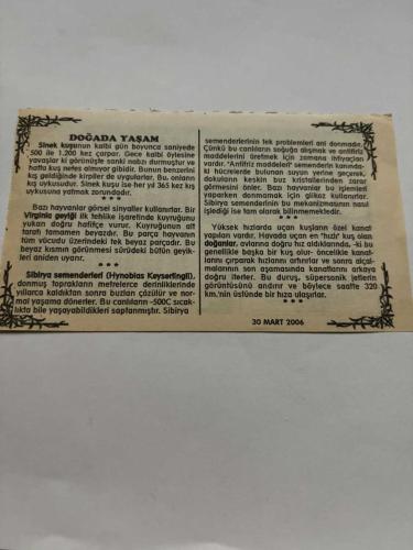 30 Mart 2006-Orijinal Takvim Yaprağı-Doğum Günü-Söz,Nişan,Nikâh,Düğün ve Önemli Günler Hediyesi-Bizim Anadolu Takvimleri-Ayet,Hadis (Maide:50)-Fransızlar Fas'ı işgal etti(1912)-Enes,Melek-Doğada Yaşam