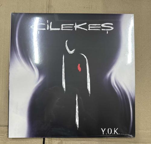 ÇİLEKEŞ Y.O.K Plak LP
