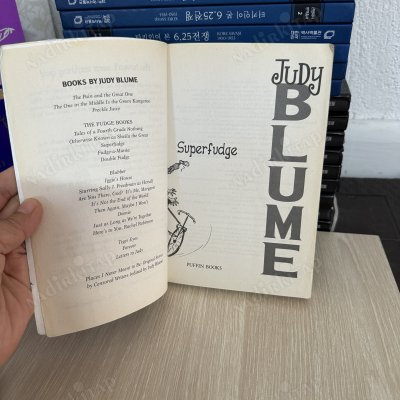Superfudge