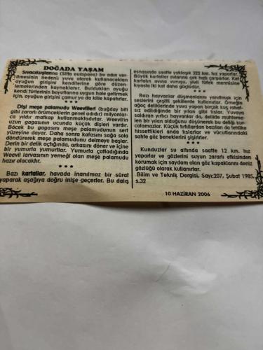 10 Haziran 2006-Orijinal Takvim Yaprağı-Doğum Günü-Söz,Nişan,Nikâh,Düğün ve Önemli Günler Hediyesi-Bizim Anadolu Takvimleri-Ayet,Hadis (Hz.Ömer(r.a.))-Hamas Szöcüsü Abdulaziz Rantisi'ye saldırı(2004)-İstanbul Depremi(1894)-Doğada Yaşam