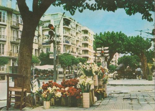 İzmir - Mustafa Bey Caddesi ve Çiçekler / Ticaret Kartpostalları