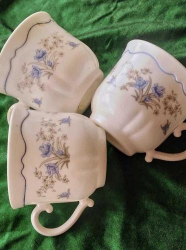 3 adet france arcopal