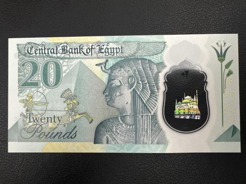Mısır 20 Pound. Polimer. Çil.