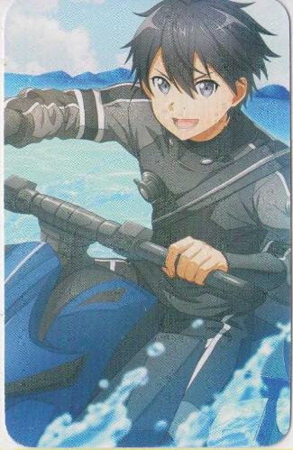 Anime Kartı: Sword Art