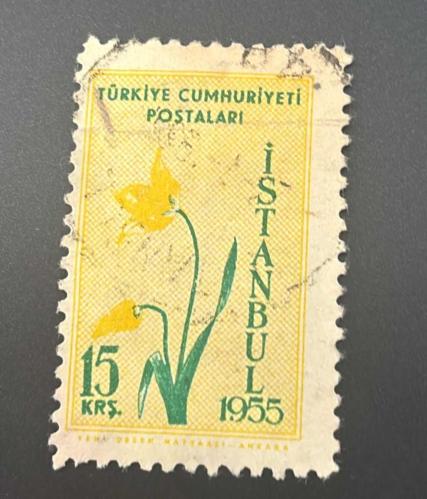 Türk Pulu - Turkish Stamp - Postadan Geçmiş Pul Filateli - DAMGALI - İSTANBUL 1955 - LALE TEMALI PUL , 15 KURUŞ - Türkiye Cumhuriyeti - NOSTALJİK DOĞUM GÜNÜ HEDİYESİ