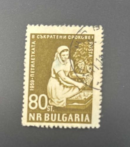 Bulgaristan Pulu - Bulgarıa Stamp -Postadan Geçmiş Pul Filateli - DAMGALI - Üzüm toplayan kadını tasvir eden pul, 80 PARA - YABANCI PULLAR -NOSTALJİK DOĞUM GÜNÜ HEDİYESİ