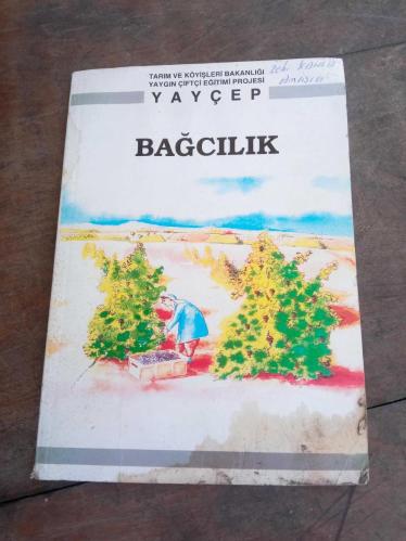 BAĞCILIK