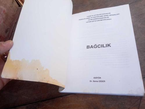 BAĞCILIK