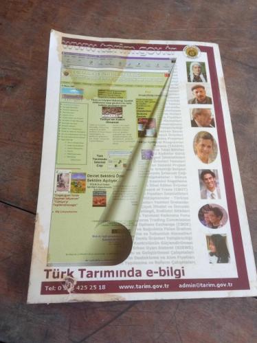 BAĞCILIK
