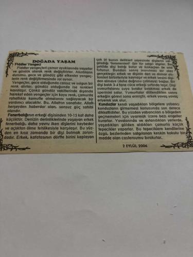 2 Eylül 2006-Orijinal Takvim Yaprağı-Doğum Günü-Söz,Nişan,Nikâh,Düğün ve Önemli Günler Hediyesi-Bizim Anadolu Takvimleri-Ayet,Hadis (M.b.Dinar)-Irak Şii lideri El-Hakim'e suikast (2003)-Ubeyde,Hurrem-Doğada Yaşam