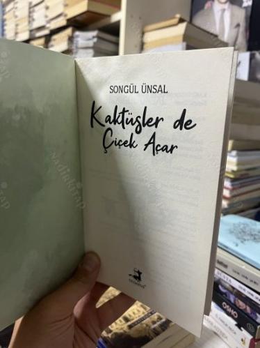 KAKTÜSLER DE ÇİÇEK AÇAR