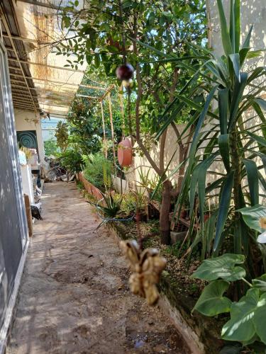 Bahçe veya balkon aksesuarı