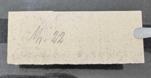 ALMANYA 1855 Sachsen Proff pulu MNG.