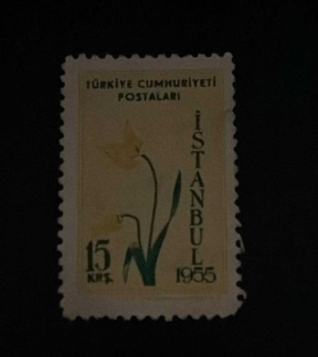Türk Pulu - Turkish Stamp - Postadan Geçmiş Pul Filateli - DAMGALI - İSTANBUL 1955 - LALE TEMALI PUL , 15 KURUŞ - Türkiye Cumhuriyeti - NOSTALJİK DOĞUM GÜNÜ HEDİYESİ