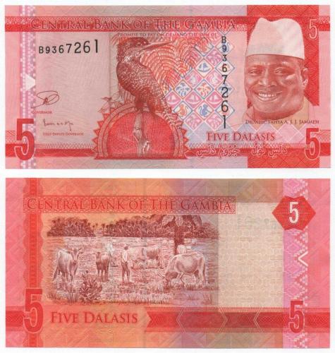 Gambiya 2015 Yılı 5 Dalasi çil