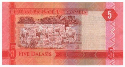 Gambiya 2015 Yılı 5 Dalasi çil