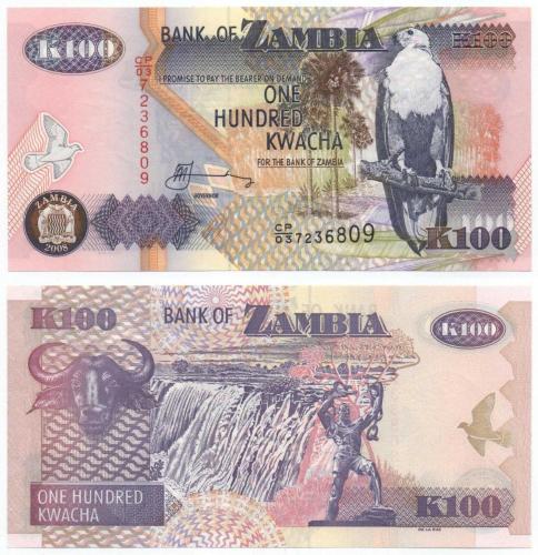 Zambiya 2008 Yılı 100 Kwacha çil