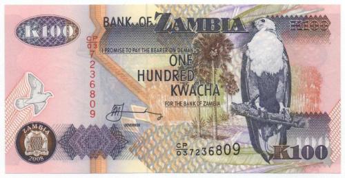 Zambiya 2008 Yılı 100 Kwacha çil