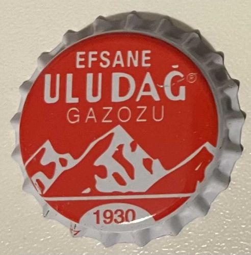 ULUDAĞ GAZOZU KAPAĞI .BASILMAMIŞ.RESİMDEKİ ÜRÜN