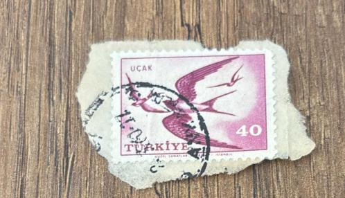 Türk Pulu - Turkish Stamp - Mektup Zarfından Kesilmiş /Postadan Geçmiş Pul Filateli - Damgalı - KIRLANGIÇ KUŞLARI TEMALI PUL , 40 KURUŞ - Türkiye Cumhuriyeti - NOSTALJİK DOĞUM GÜNÜ HEDİYESİ