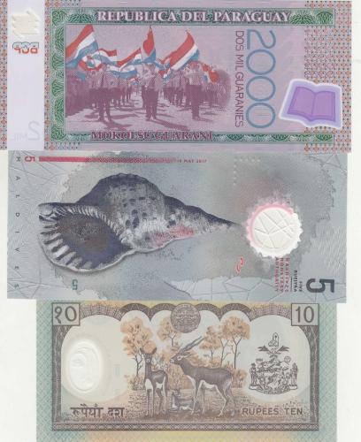 3 ADET YABNCI POLYMER YABANCI KAĞIT PARA ( NEPAL - PARAGUAY- MALDİVLER ) / ÇİL KONDİSYON