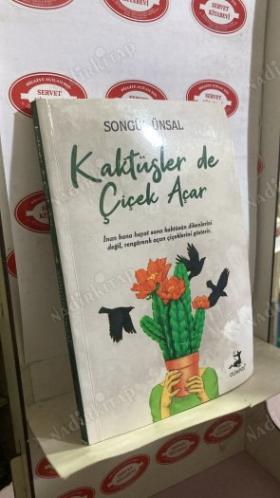 Kaktüsler de Çiçek Açar