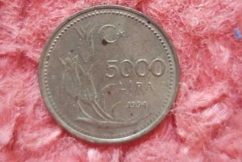 1994 yılına ait 5000 Lira