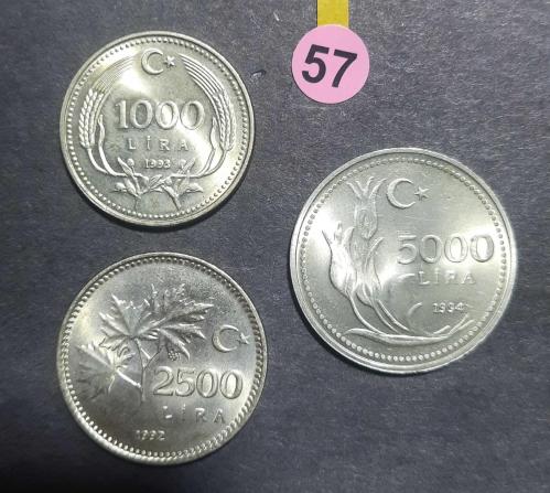 Türkiye 1993 1993 1994 ÇİL 1000 2500 ve 5000 lira ÇİL  Türkiye Cumhuriyeti madeni para koleksiyonu