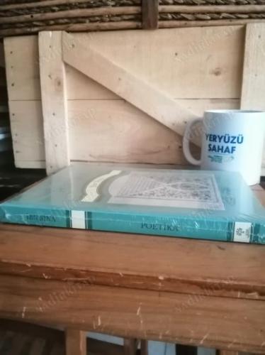 YENİ Kitap: Poetika - İbn Sina
