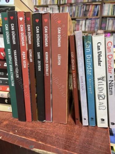 Lüsyen - Kırmızı Bisiklet - Uzaklar -Sarı Zeybek - Aşka Veda - Yakamdaki Yüzler - Ben Böyle Veda Etmeliyim İsmail Cem + 5 kitap ( Açıklamaya Bakınız )