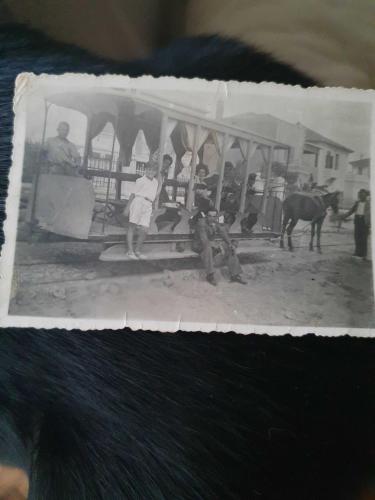 1930 yılları Karşıyaka atlı tramvay
